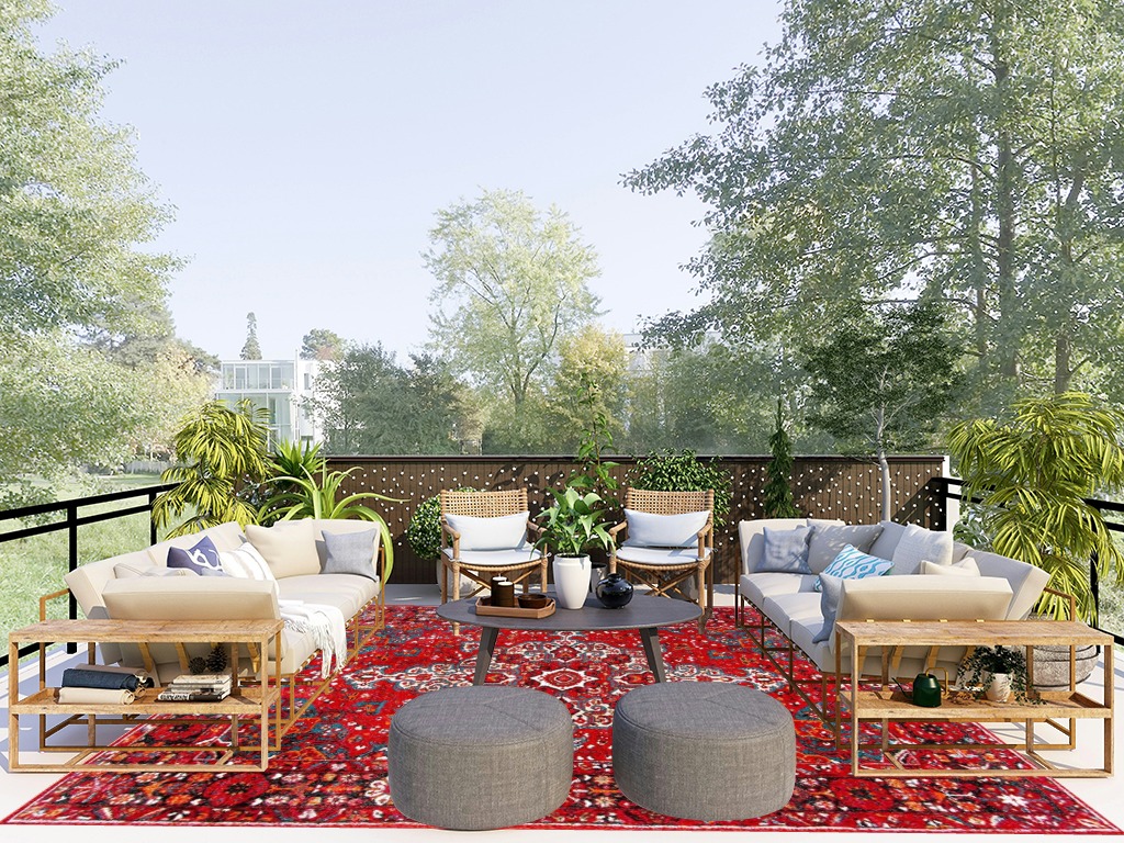 Oriental rug decorating ideas in Scandinavian Modern Patio
