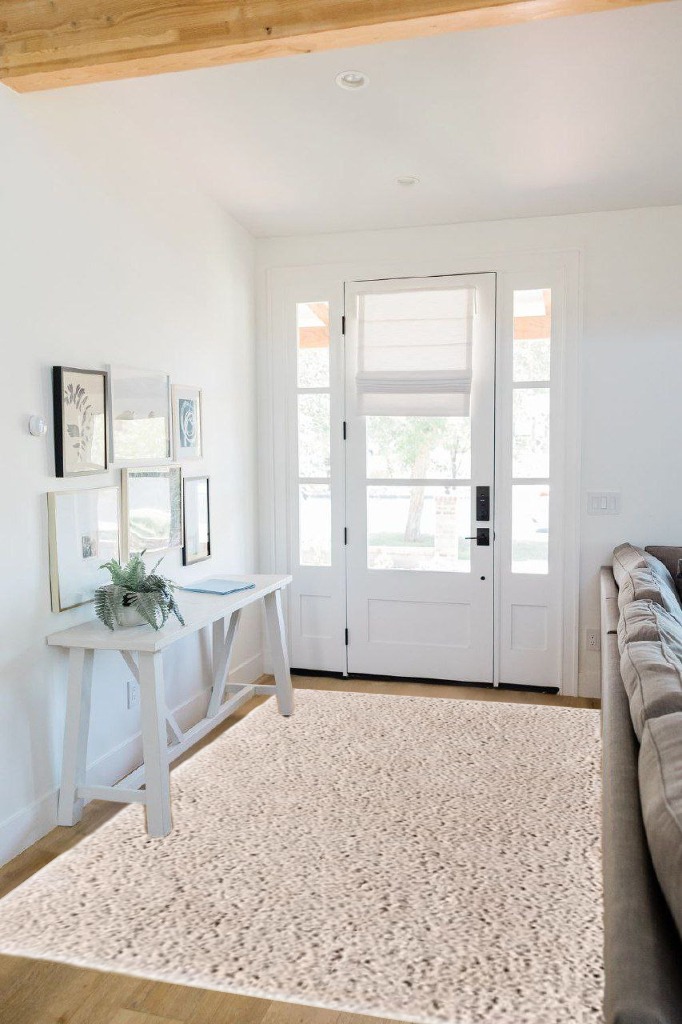 Rug ideas in White Scandinavian Entryway