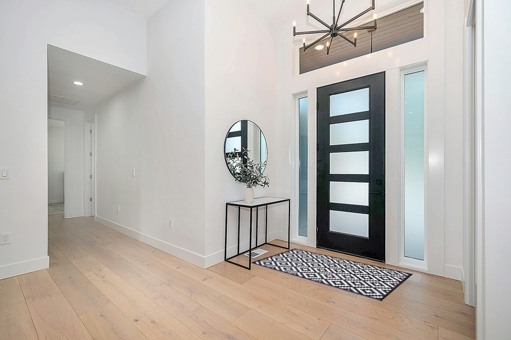 Black and white rug ideas in Modern White Entryway