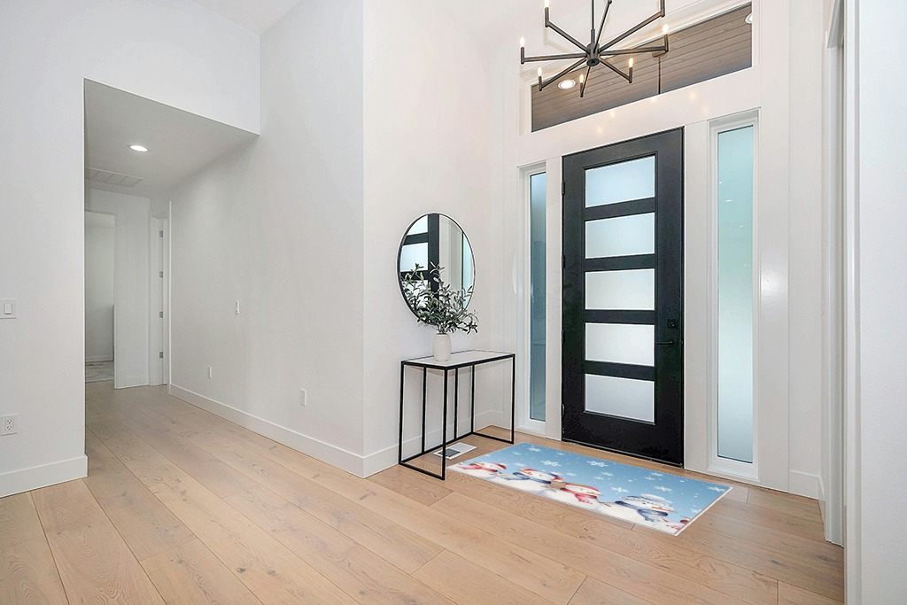 Entryway rug ideas in Modern White Entryway