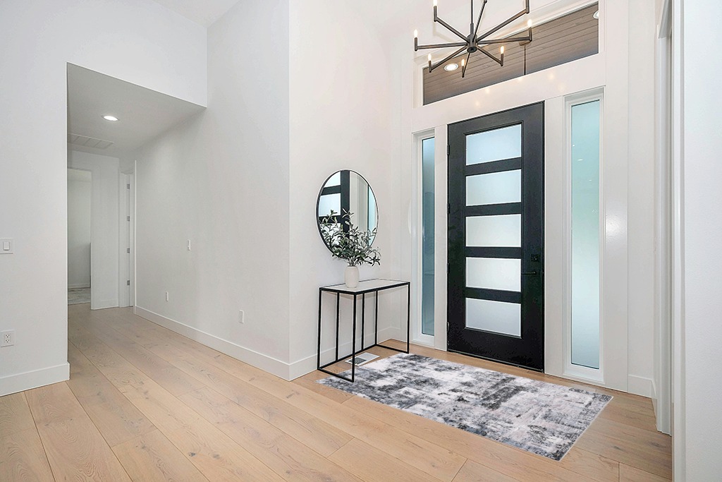 Black and white rug ideas in Modern White Entryway