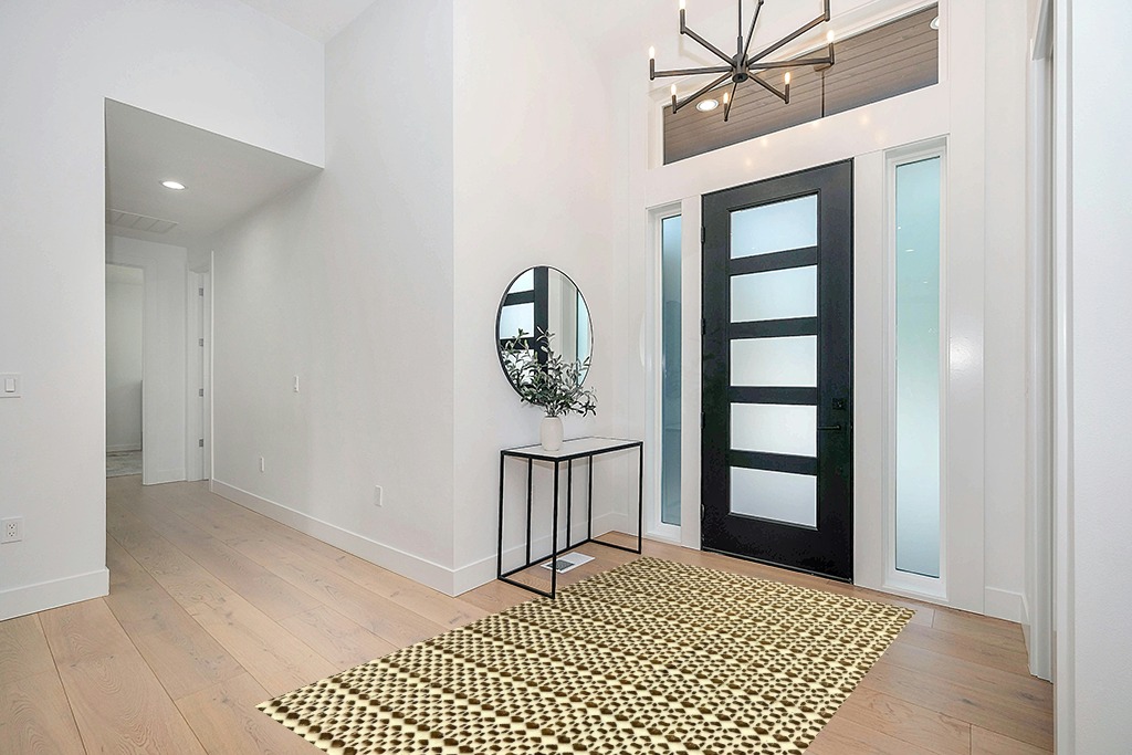 Round entryway rug ideas in Modern White Entryway