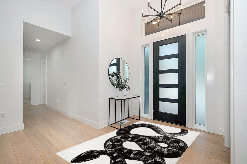 Cool rug ideas in Modern White Entryway