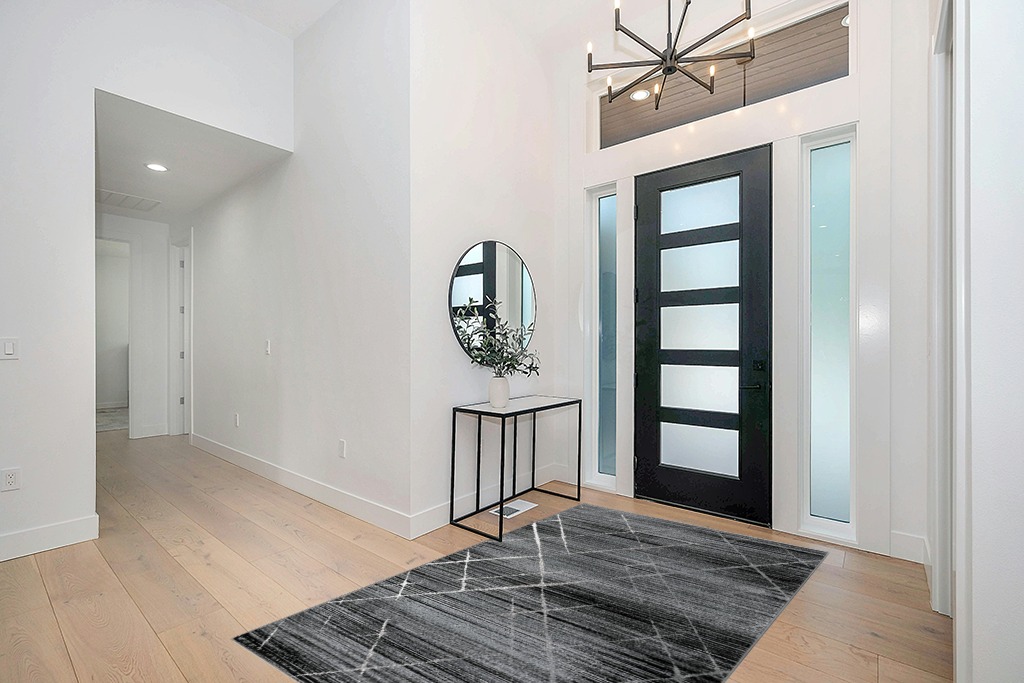Rug ideas in Modern White Entryway