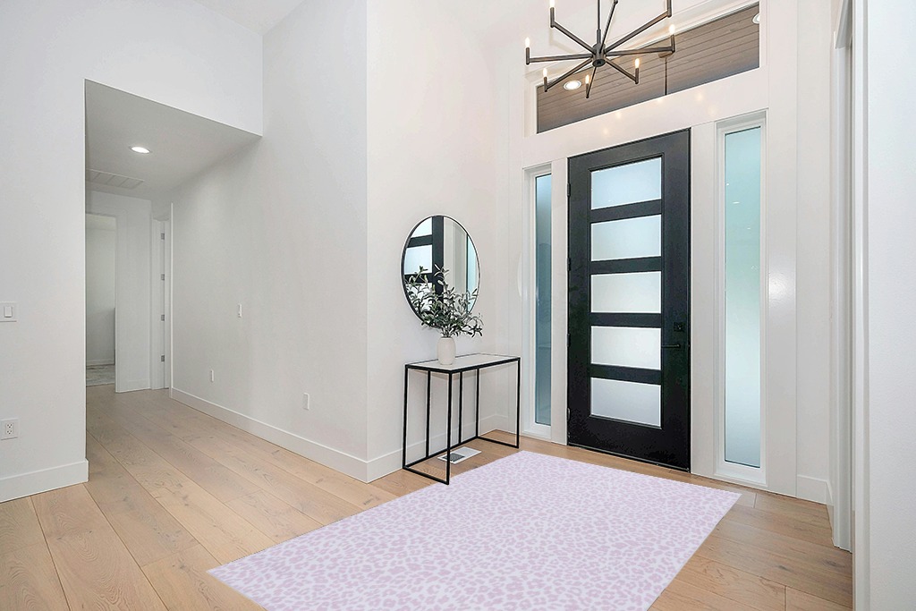 Entryway rug ideas washable in Modern White Entryway