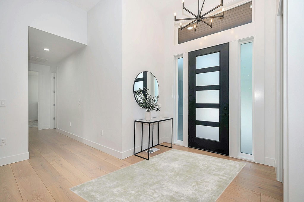 Entryway rug ideas washable in Modern White Entryway