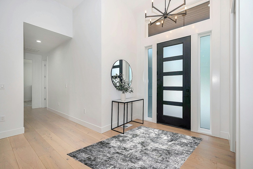 Modern area rug ideas in Modern White Entryway