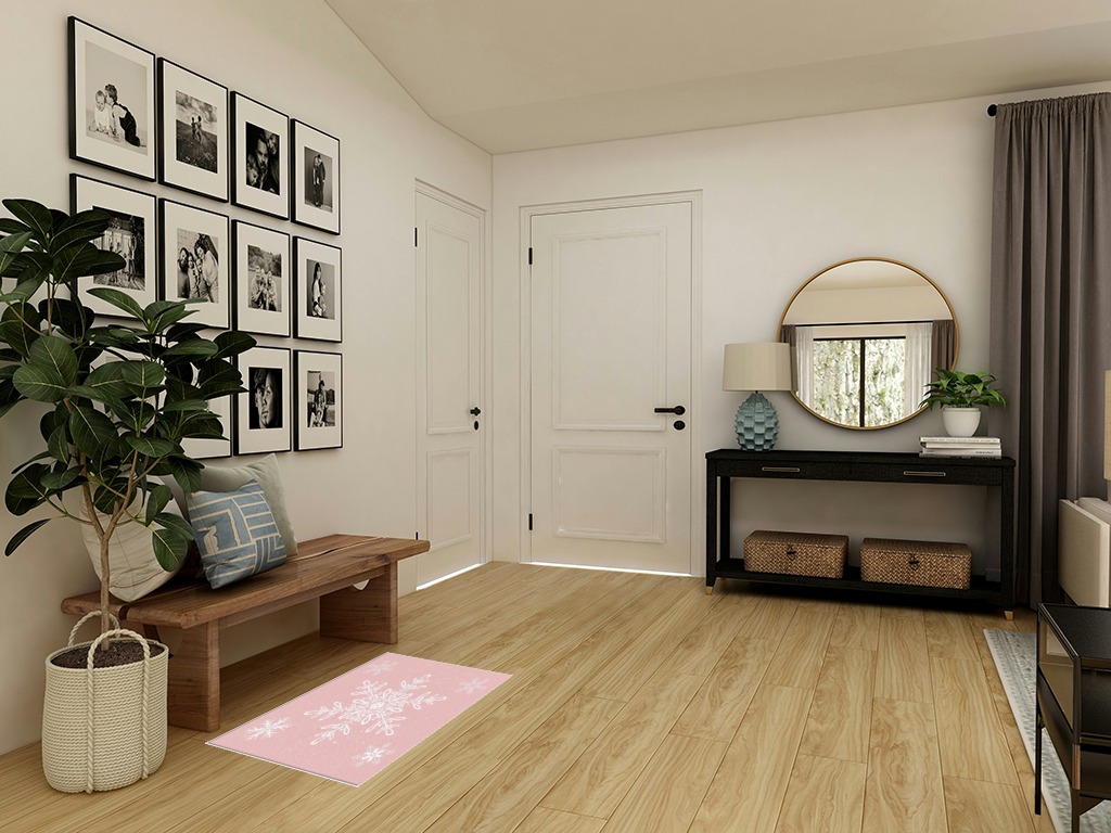 Christmas rug ideas in Transitional Minimalistic Entryway