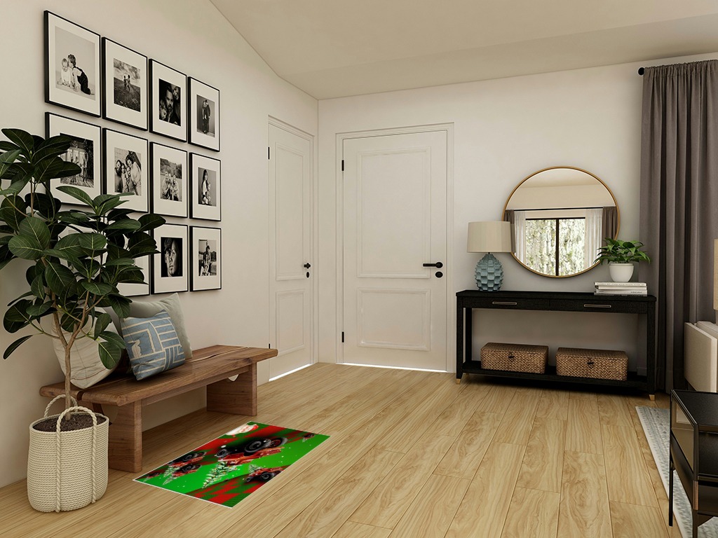 Round entryway rug ideas in Transitional Minimalistic Entryway