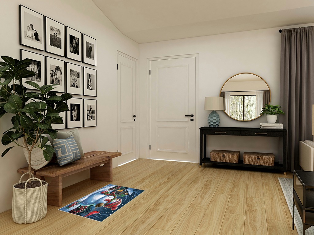 Round entryway rug ideas in Transitional Minimalistic Entryway