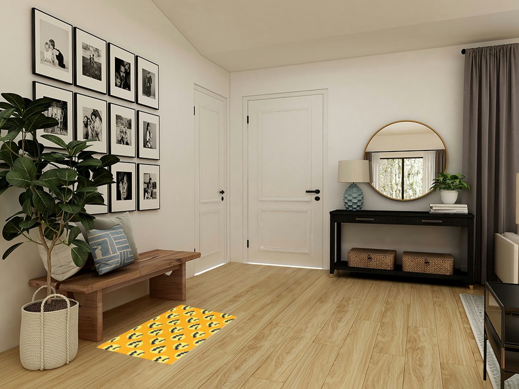 Round entryway rug ideas in Transitional Minimalistic Entryway