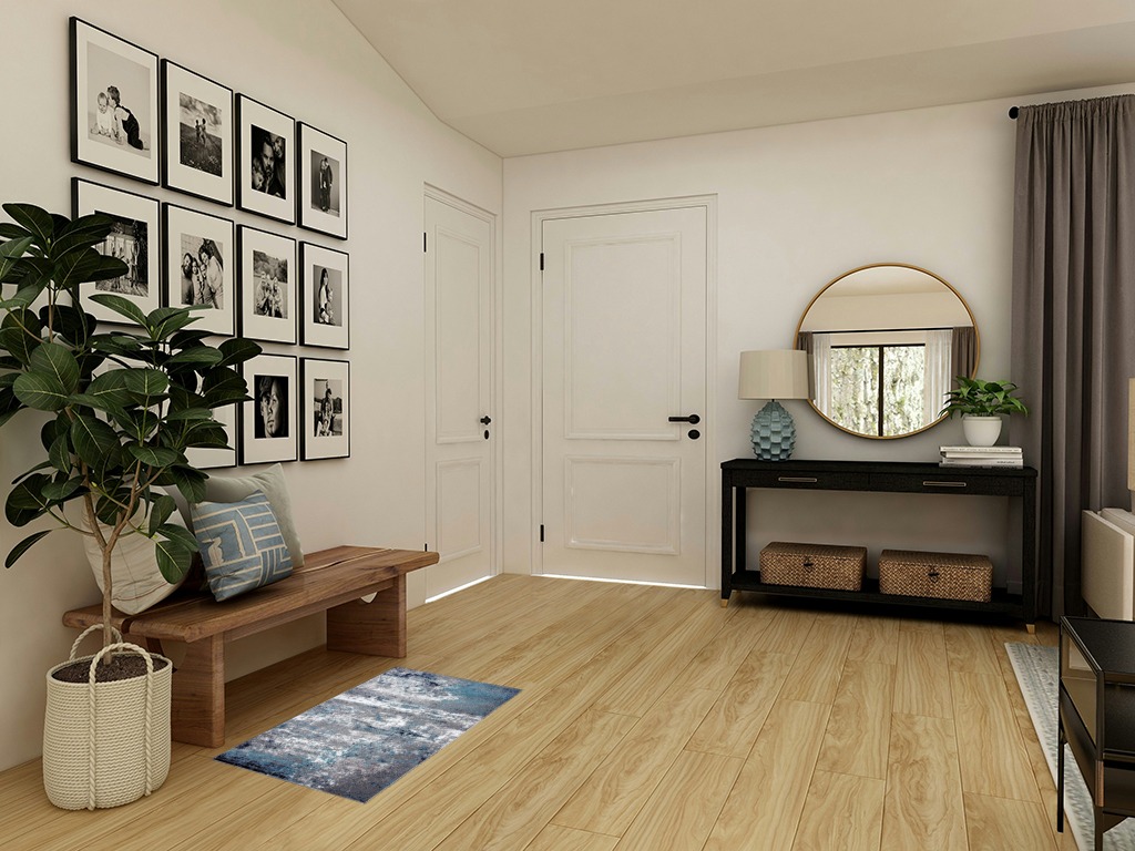 Blue rug ideas in Transitional Minimalistic Entryway