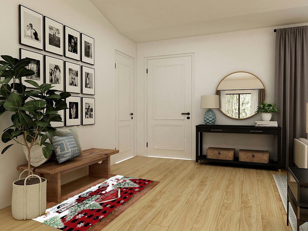 Round entryway rug ideas in Transitional Minimalistic Entryway
