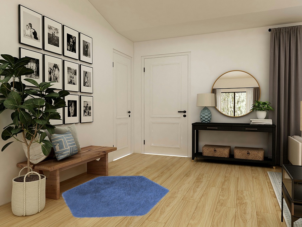 Blue rug ideas in Transitional Minimalistic Entryway