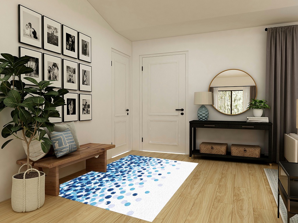 Round entryway rug ideas in Transitional Minimalistic Entryway