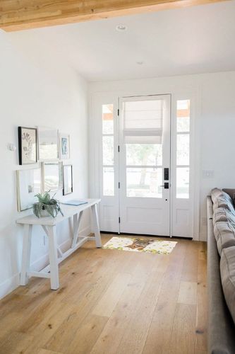 Shag Door Mats Bath Rugs Farm Cute Cat Yellow Lemon,Soft Fluffy Doormats Non Slip Carpet Watercolor Animal Fruit Retro Linen,Shaggy Fuzzy Area Throw Rug for Kitchen/Bathroom/Bedroom 20x31.5In in White Scandinavian Entryway