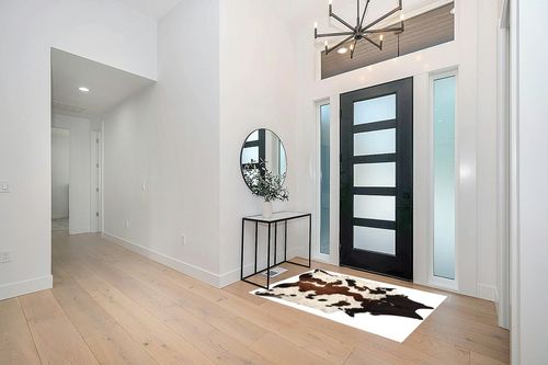 MeshNew Pure Brown Tricolor Cowhide Rug Black Brown and White Luxurious Cow Skin Tri Color (5 X 4) in Modern White Entryway