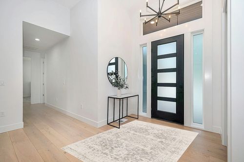 Grey Traditional  Living Room Area Rug in Modern White Entryway