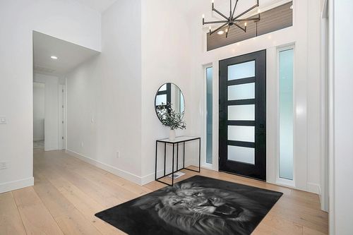 DNOVING Large Black and White Lion Area Rug 5x7ft Non Slip, Rubber Backed Perfect for Living Room, Bedroom, Office, Dining Room Timeless and Classic Decor Indoor Fluffy Area Rug in Modern White Entryway