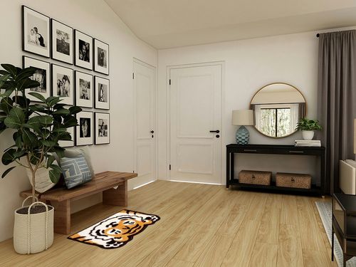 Molesun Tiger Bath Rugs, Cute Water Absorbent Bathroom Rug Plush Microfiber Non-Slip Soft Shower Rug, Funny Shaggy Floor Mats for Kids Room, Bedroom, Kitchen, 17.7" x 29.5" in Transitional Minimalistic Entryway