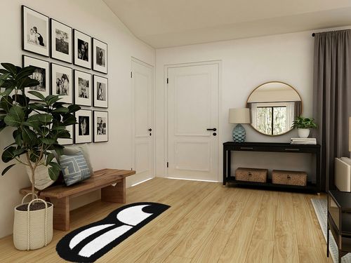 Funny Eye Bedroom Bedside Rug Carpet Non-Slip Absorbent Black White Area Rugs 24in*63in Long Runner Rugs Bathroom Living Room Laundry Decor Aesthetic Rug (20in*55in, Wink) in Transitional Minimalistic Entryway