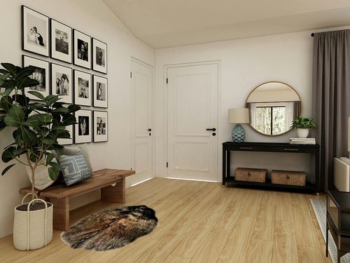 Premium Quality Faux Fur Beaver Skin Rug - Grizzly Bear - Buffalo Hide - Throw Rug - Shag - Sheepskin - Area Rug - Accent Rug,Toss Carpet (3'x4', Brown) in Transitional Minimalistic Entryway