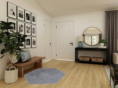 Ultra Soft Rug for Home Décor in Transitional Minimalistic Entryway