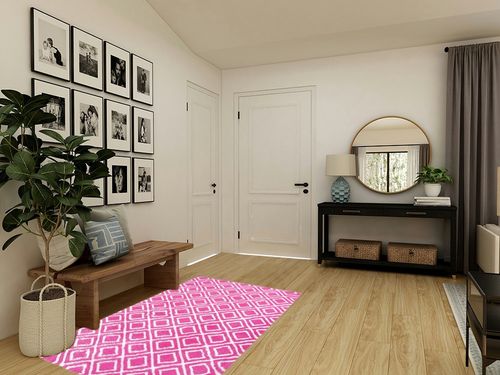 Soft Area Rugs for Bedroom Living Room in Transitional Minimalistic Entryway