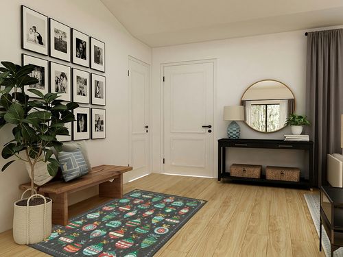 4'x6' | Machine Washable Area Rug | Kid & Pet Friendly | Indoor Rug | Festive ... in Transitional Minimalistic Entryway