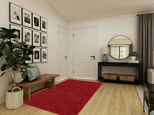 Everyday Shag Rug 5' x 8' in Transitional Minimalistic Entryway