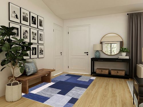 RUGSREAL Contemporary Area Rug in Transitional Minimalistic Entryway