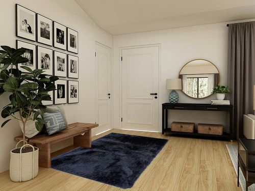 Indoor Bedroom Living Room Solid Plush Pile Shag Shaggy 5x7 Feet Area Rug Carpet Rug Modern Contemporary Decorative Designer Polyester Made Canvas Backing Hand Woven Fluffy Fuzzy Furry Canvas Back in Transitional Minimalistic Entryway