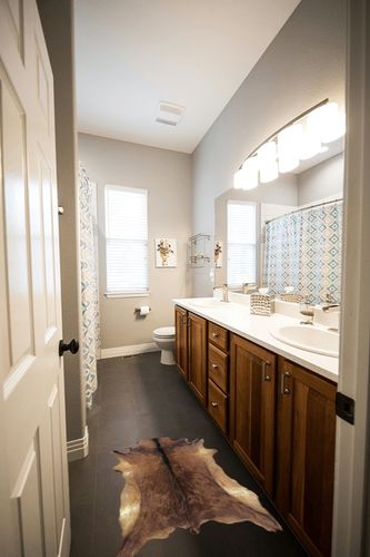 Red Deer Hide Rug Deer Skin Rug Deer Taxidermy Fireplace Deerskin Decor Reindeer Hide Area Rug Animals Mat Carpet for Home, Office, Bedroom Taxidermy Hunting Collectable 3.2x2.1ft in Wooden and Grey Bathroom