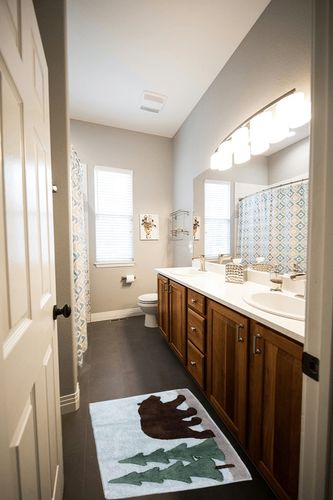 SKL Home Yellowstone Northern Woods Rug, Multicolored in Wooden and Grey Bathroom