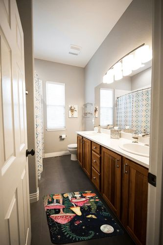 CANARO Mushroom Rugs Non-Slip Soft Doormats Bath Black Starry Sky Carpet Floor Runner Area Rugs for Home Dining Living Room Bedroom Farmhouse Decor 31.5x19.7inch in Wooden and Grey Bathroom