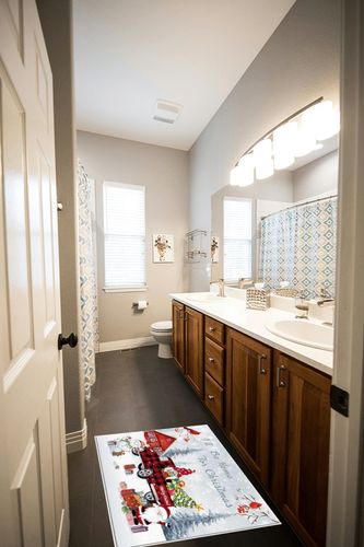 Area Rug, Snowflake Cardinals Xmas Tree Red Truck Christmas Gnome Area Rug, Living Room Rugs, Area Rugs for Bedroom Decor&Living Room Decor, Carpet 2x3ft Bedroom Rug, Rugs for Living Room in Wooden and Grey Bathroom