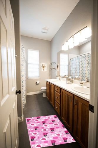 Cute Love Pink Ladybird Bathroom Rugs Fluffy Absorbent Bath Mat Machine Washable Soft Microfiber Shaggy Kitchen Mat Non Slip Carpet Runner for Kitchen Entryway Laundry Room Decor in Wooden and Grey Bathroom