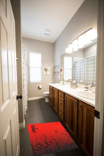 Happy Halloween Plush Shag Bath Rugs Black Bats Red Gradient Soft Fluffy Floor Doormat Carpet,Non-Slip Door Mats for Living Room Bedroom Kitchen Entryway Horror Animals in Wooden and Grey Bathroom