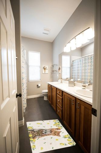 Shag Door Mats Bath Rugs Farm Cute Cat Yellow Lemon,Soft Fluffy Doormats Non Slip Carpet Watercolor Animal Fruit Retro Linen,Shaggy Fuzzy Area Throw Rug for Kitchen/Bathroom/Bedroom 20x31.5In in Wooden and Grey Bathroom