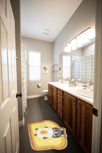 Molesun Toast Bathroom Rug 20" x 31" Non Slip Bath Mat Soft Shower Rug Plush Microfiber Water Absorbent Thick Shaggy Floor Mats, Machine Washable, Cat in Wooden and Grey Bathroom