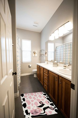 Pink Cow Print Rugs Kawaii Milk Cow Fluffy Rugs for Bedroom Farmhouse Animal Durable Indoor Entry Rug Black Cowhide Stripe Non Slip Bathroom Carpet Western Cowboy Floor Mats Washable 30x18 inch in Wooden and Grey Bathroom