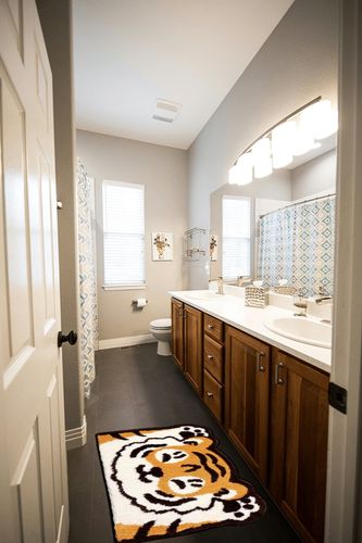 Molesun Tiger Bath Rugs, Cute Water Absorbent Bathroom Rug Plush Microfiber Non-Slip Soft Shower Rug, Funny Shaggy Floor Mats for Kids Room, Bedroom, Kitchen, 17.7" x 29.5" in Wooden and Grey Bathroom