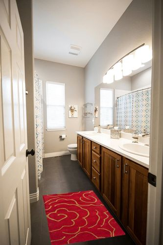 SAFAVIEH Soho Collection 2' x 3' Red SOH812A Handmade Premium Wool & Viscose Accent Rug in Wooden and Grey Bathroom