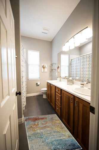 Nourison Celestial Modern Abstract Sealife 2'2" x 3'9" Area Rug in Wooden and Grey Bathroom