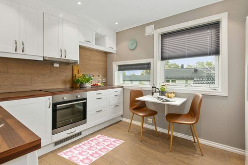 Pink Cartoon Elephant Bathroom Rugs Fluffy Absorbent Bath Mat Machine Washable Soft Microfiber Shaggy Kitchen Mat Non Slip Carpet Runner for Shower Room Sink Bath Laundry Decor in Wood and White Small Kitchen