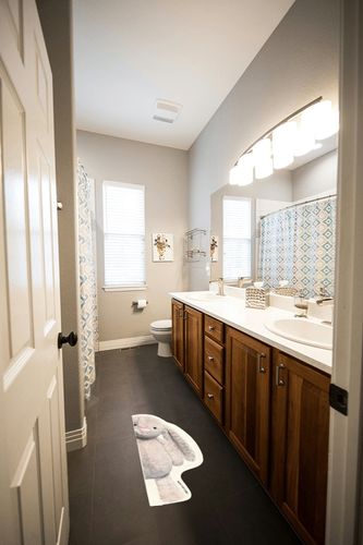 BLEU DE CHIC Peek-A-Boo Small Washable Fluffy Rug for Bedroom, Kitchen, Bath mats, Home Decor 15"x30" (Grey Bunny) in Wooden and Grey Bathroom