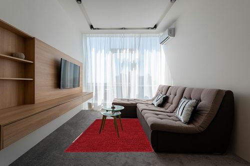 Everyday Shag Rug 5' x 8' in Grey Living Room with Brown Couch