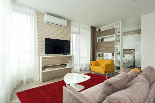 Everyday Shag Rug Red in Light Modern Living Room with TV