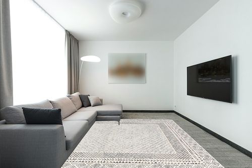 ‎Beige ‎Transitional ‎Non Slip ‎Living Room ‎Area Rug in Modern Living Room with Grey Couch