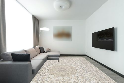 Area Rug Living Room Rugs: 9x12 Large Machine Washable Non Slip Thin Carpet Soft Indoor Luxury Floral Distressed Carpets for Under Dining Table Farmhouse Bedroom Nursery Home Office Beige in Modern Living Room with Grey Couch